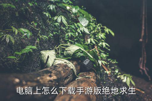 电脑上怎么下载手游版绝地求生