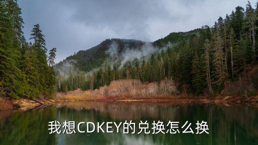 我想CDKEY的兑换怎么换