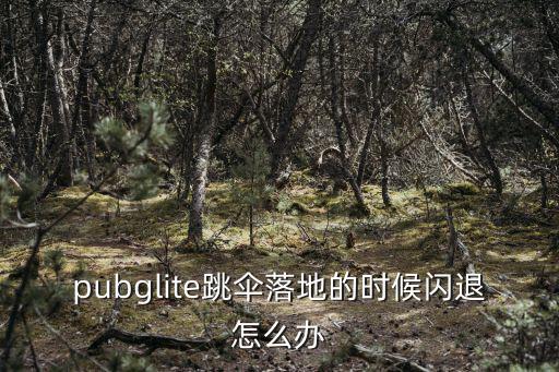 吃鸡手游怎么跳伞不用闪退，pubglite跳伞落地的时候闪退怎么办