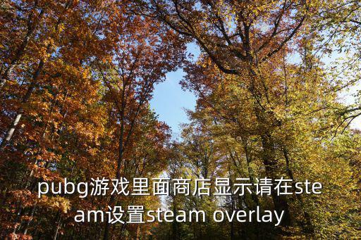 pubg游戏里面商店显示请在steam设置steam overlay