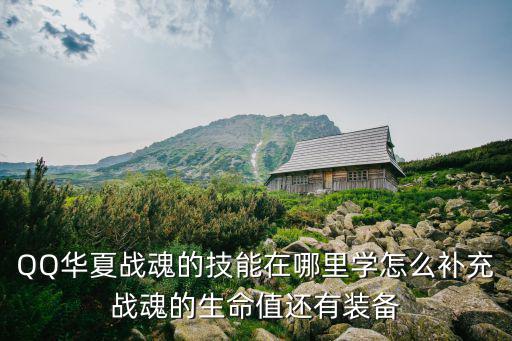 qq华夏手游战魂装备特技怎么搞，QQ华夏战魂的技能在哪里学怎么补充战魂的生命值还有装备