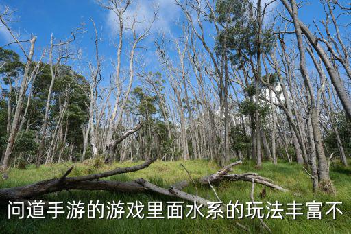 问道手游的游戏里面水系的玩法丰富不