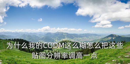 为什么我的CODM这么糊怎么把这些贴图分辨率调高一点