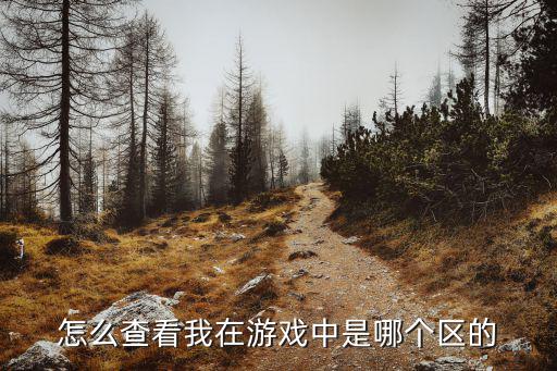 跑跑手游怎么看自己以前哪个区，怎么查我以前玩过的游戏大区