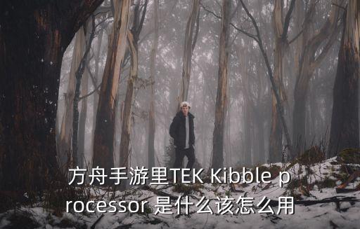 方舟手游npc怎么玩，方舟手游里TEK Kibble processor 是什么该怎么用