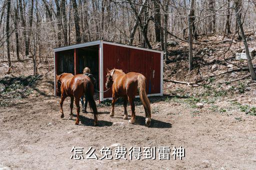 怎么免费得到雷神