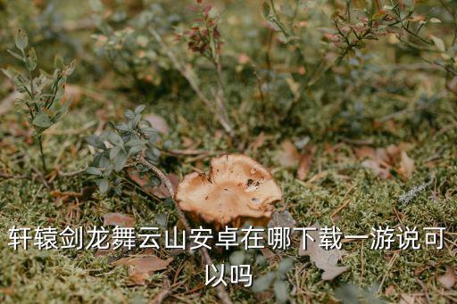 轩辕剑手游龙舞云山怎么样，轩辕剑龙舞云山安卓在哪下载一游说可以吗