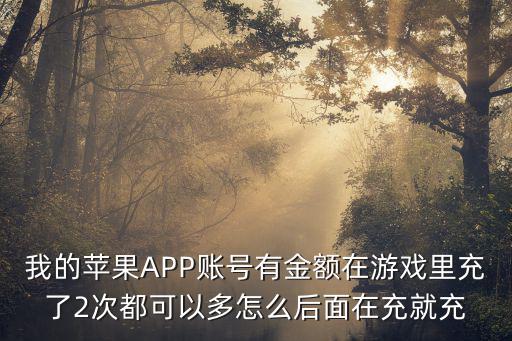 我的苹果APP账号有金额在游戏里充了2次都可以多怎么后面在充就充