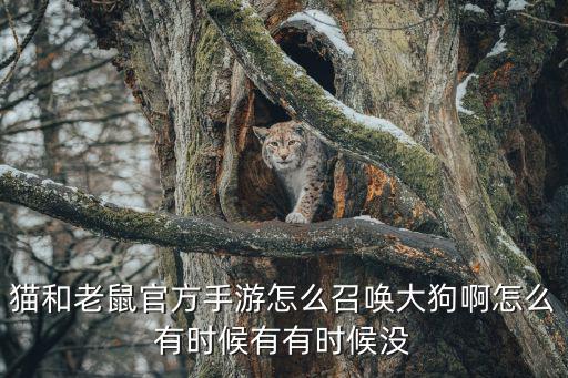 猫和老鼠官方手游怎么召唤大狗啊怎么有时候有有时候没