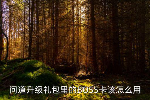 问道升级礼包里的BOSS卡该怎么用