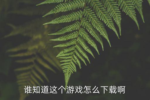 谁知道这个游戏怎么下载啊