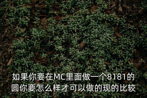 如果你要在MC里面做一个8181的圆你要怎么样才可以做的现的比较