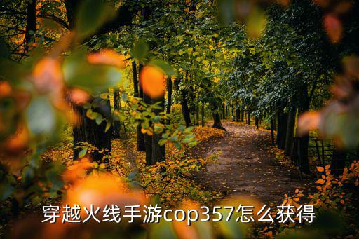 穿越火线手游cop357怎么获得