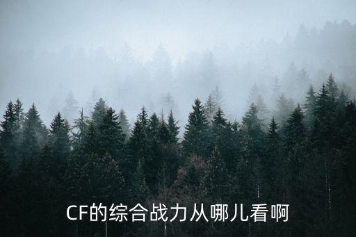 CF的综合战力从哪儿看啊