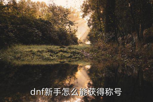 dnf新手怎么能获得称号