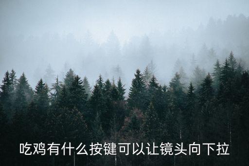 吃鸡手游怎么调镜头，求生游戏设置怎么调最好 绝地求生游戏画面设置推荐