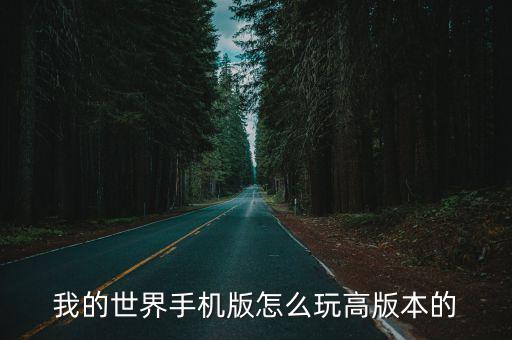 我的世界手机版怎么玩高版本的