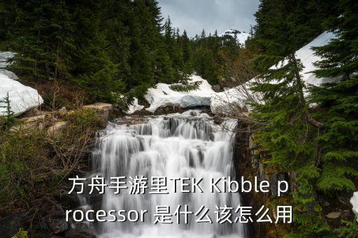 方舟手游里TEK Kibble processor 是什么该怎么用