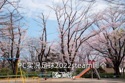 PC实况足球2022steam哪个区下载