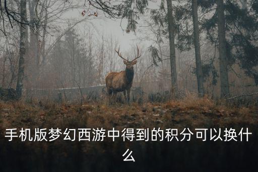 梦幻手游积分怎么兑换合适，手机版梦幻西游中得到的积分可以换什么