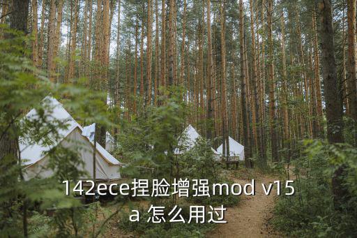 142ece捏脸增强mod v15a 怎么用过