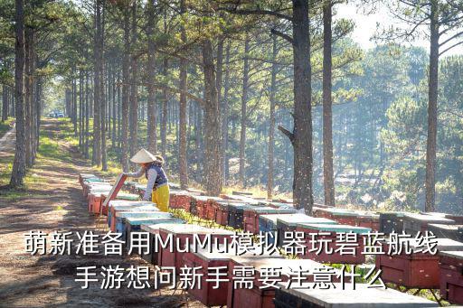 萌新准备用MuMu模拟器玩碧蓝航线手游想问新手需要注意什么