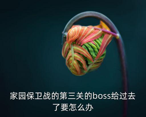 家园保卫战的第三关的boss给过去了要怎么办