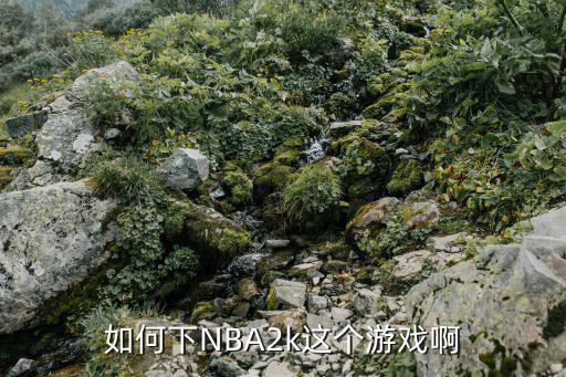 如何下NBA2k这个游戏啊