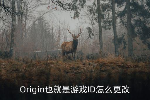 Origin也就是游戏ID怎么更改