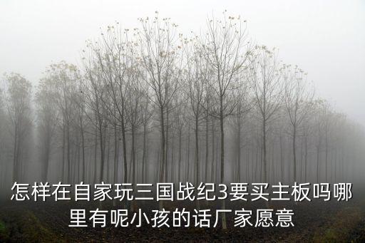 怎样在自家玩三国战纪3要买主板吗哪里有呢小孩的话厂家愿意