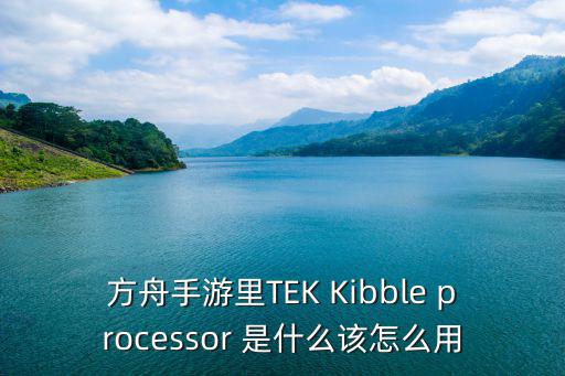 方舟手游里TEK Kibble processor 是什么该怎么用