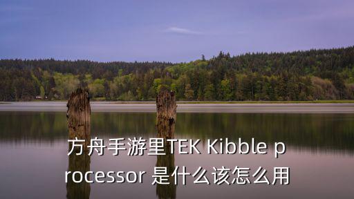 方舟手游无敌模式怎么打，方舟手游里TEK Kibble processor 是什么该怎么用