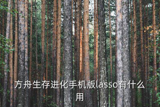 方舟生存进化手机版lasso有什么用