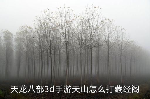 天龙八部3d手游天山怎么打藏经阁