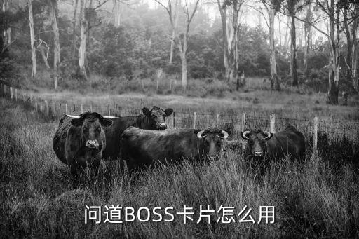 问道手游boss卡怎么用，问道BOSS卡片怎么用