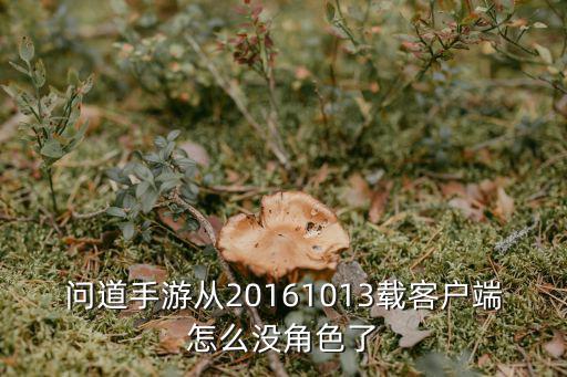 问道手游从20161013载客户端怎么没角色了