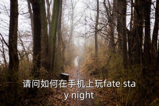 请问如何在手机上玩fate stay night