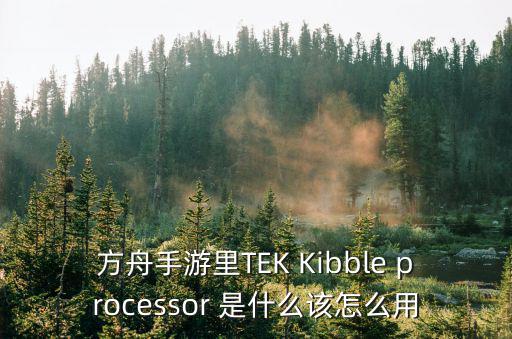 方舟手游怎么坐在古神后座，方舟手游里TEK Kibble processor 是什么该怎么用