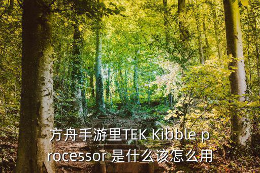 方舟手游里TEK Kibble processor 是什么该怎么用