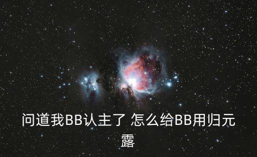 问道我BB认主了 怎么给BB用归元露