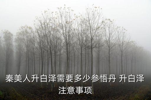 秦美人升白泽需要多少参悟丹 升白泽注意事项