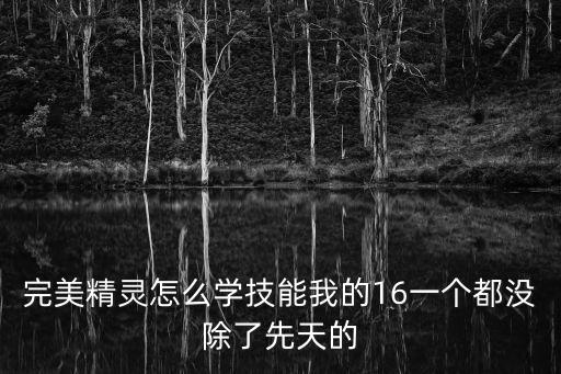 完美精灵怎么学技能我的16一个都没除了先天的