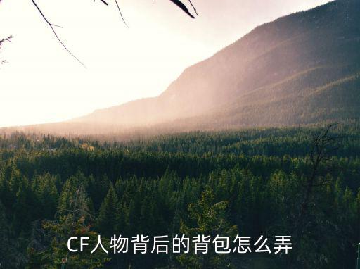 CF人物背后的背包怎么弄