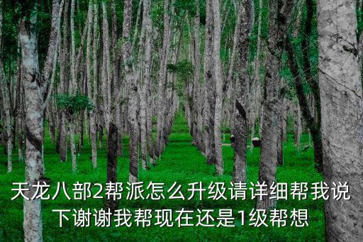 天龙八部2帮派怎么升级请详细帮我说下谢谢我帮现在还是1级帮想