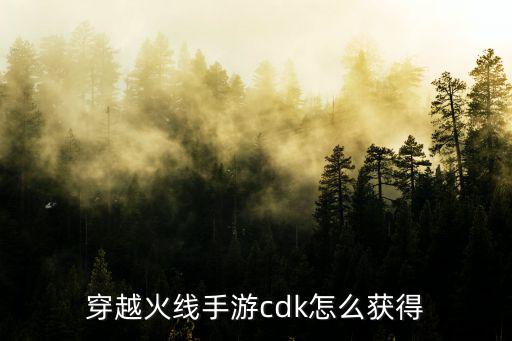 穿越火线手游cdk怎么获得