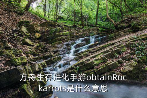 方舟生存进化手游obtainRockarrots是什么意思