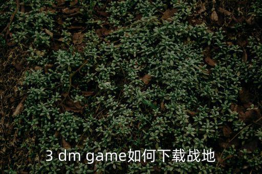 3 dm game如何下载战地