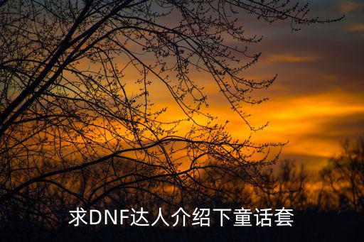 求DNF达人介绍下童话套