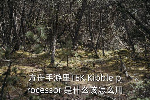 方舟手游怎么用大虾米，方舟手游里TEK Kibble processor 是什么该怎么用