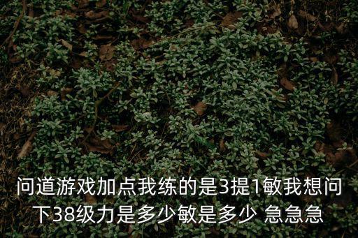 问道游戏加点我练的是3提1敏我想问下38级力是多少敏是多少 急急急